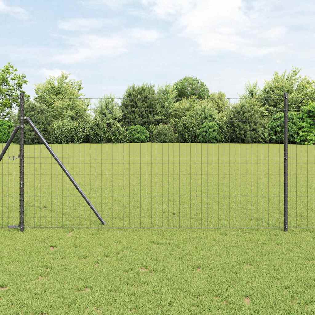 Euro tvora Pilka 1.2 x 10 m PVC padengta geležis