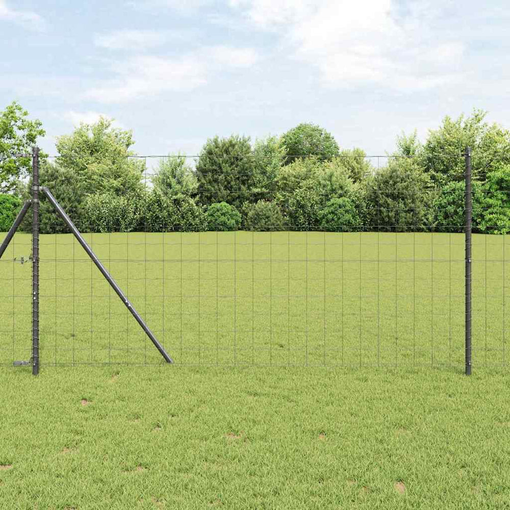 Euro tvora Pilka 1.4 x 10 m PVC padengta geležis