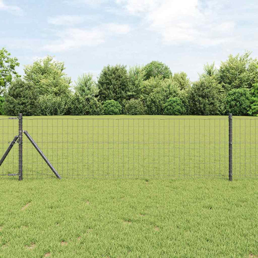 Euro tvora Pilka 0.8 x 25 m PVC padengta geležis