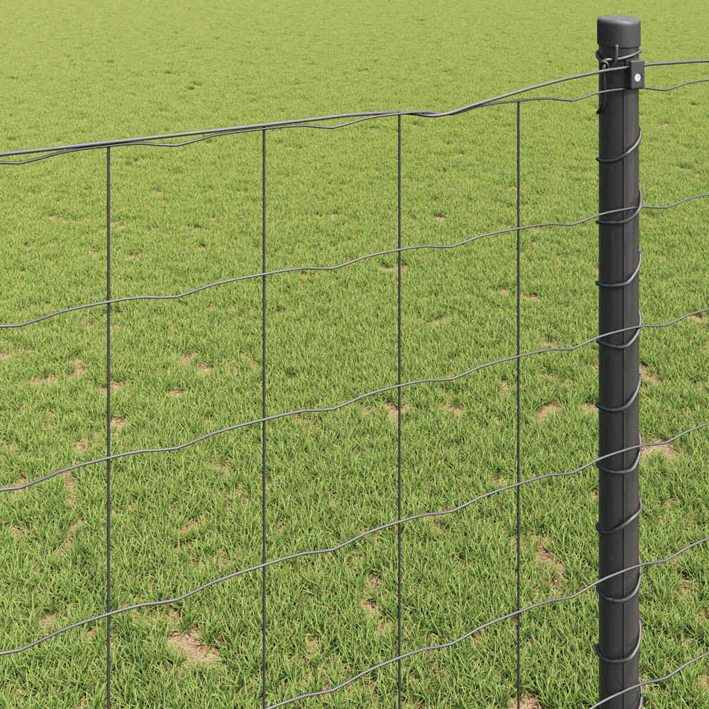 Eiro žogs Pelēks 0,6 x 50 m ar PVC pārklājumu, dzelzs
