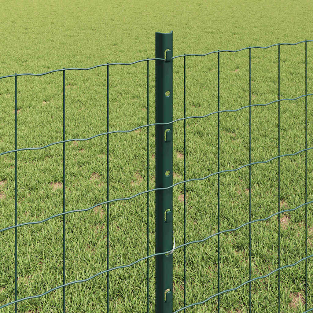 Žoga ar stabiem Zaļa 0,8 x 10 m Tērauds un PVC