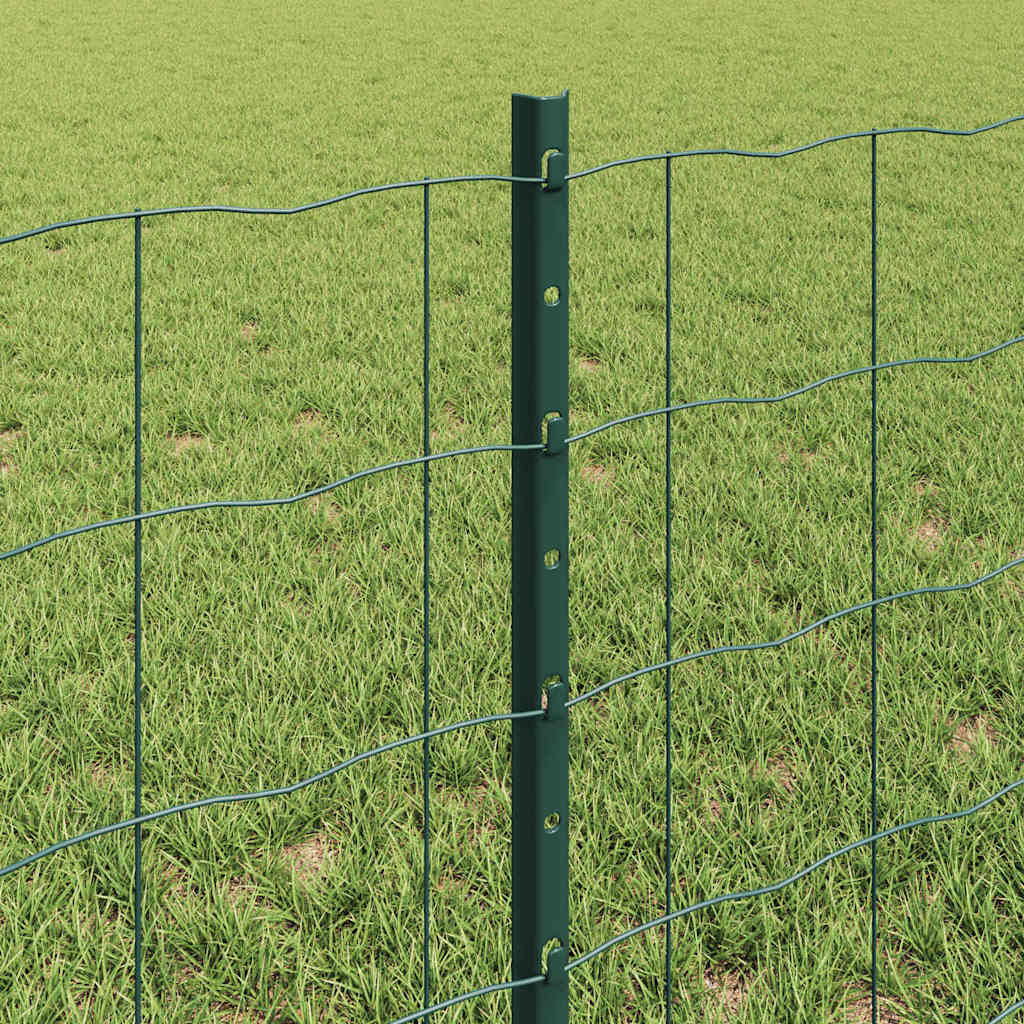 Žogs ar stabiem Zaļš 0,6 x 10 m Tērauds un PVC