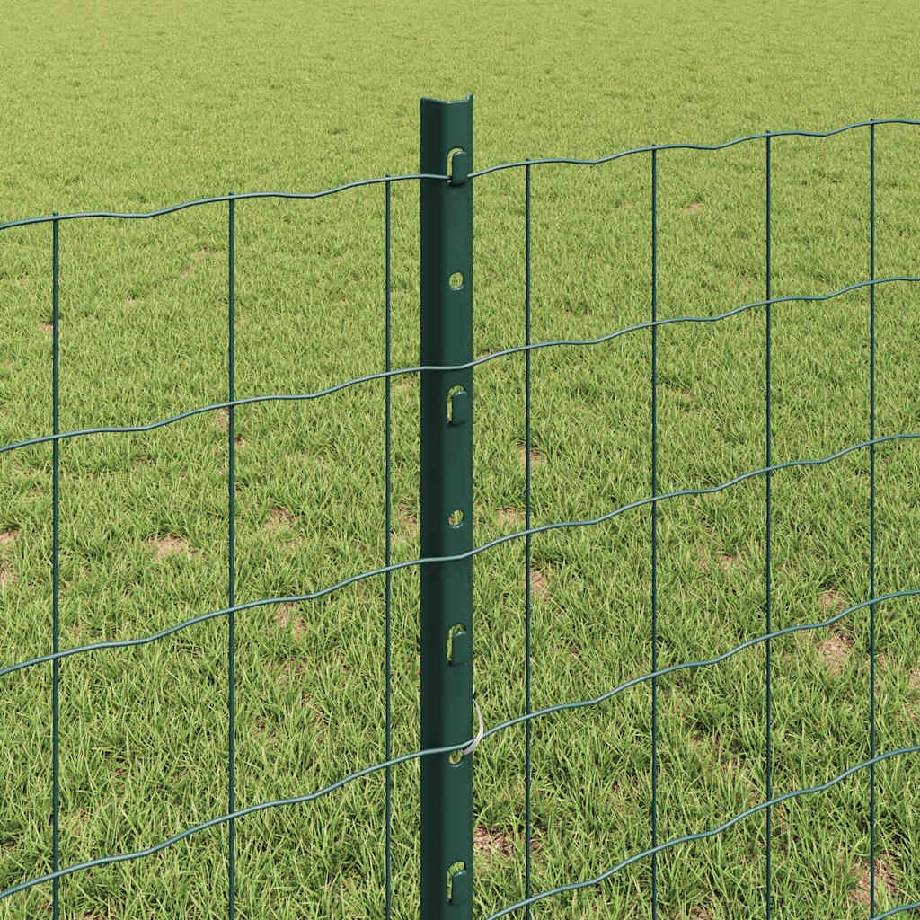 Žogs ar stabiem Zaļš 0,8 x 10 m Tērauds