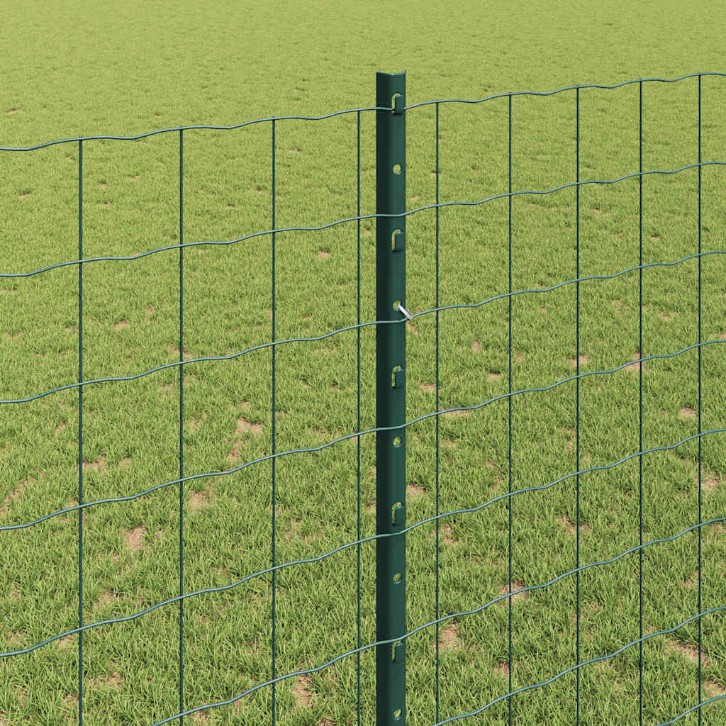 Žogs ar stabiem Zaļš 1,4 x 10 m Tērauds