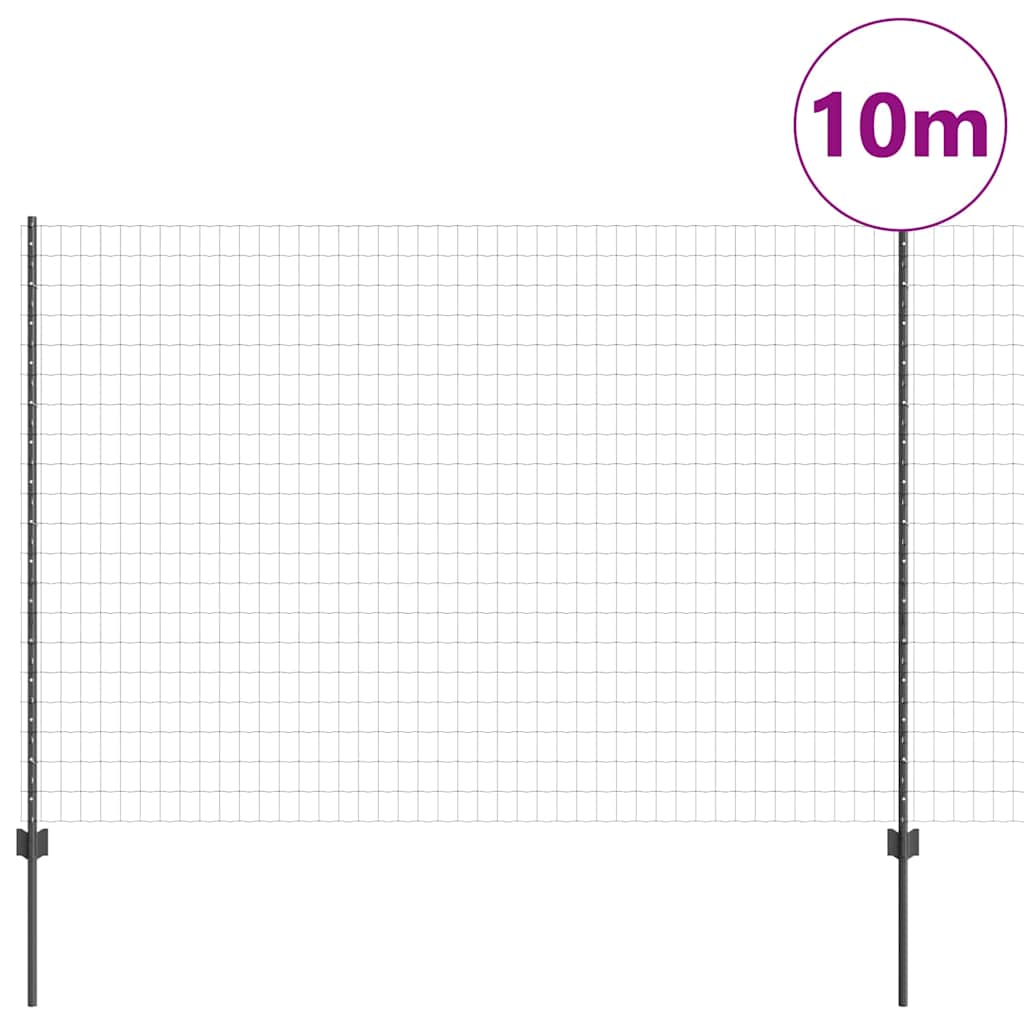 Žogs ar stabiem Pelēks 1.6 x 10 m Tērauds