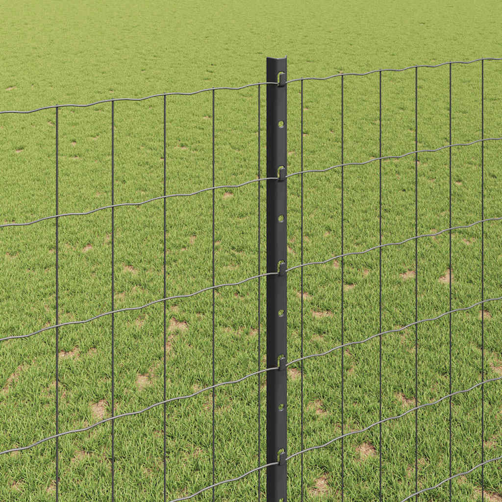 Žoga ar stabiem, pelēka, 1,5 x 10 m, tērauds