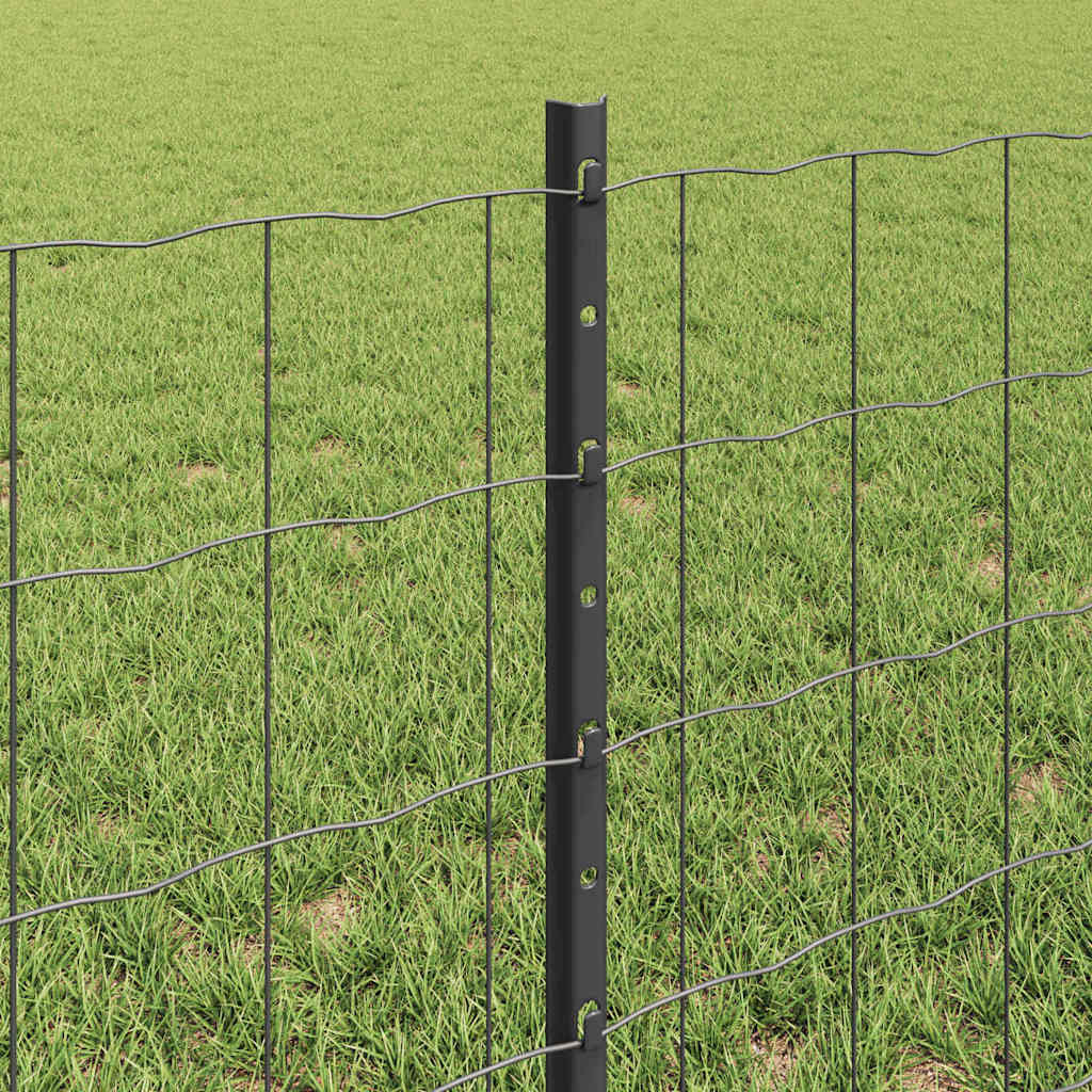 Tvora su stulpais Pilka 0,6 x 10 m Plienas ir PVC