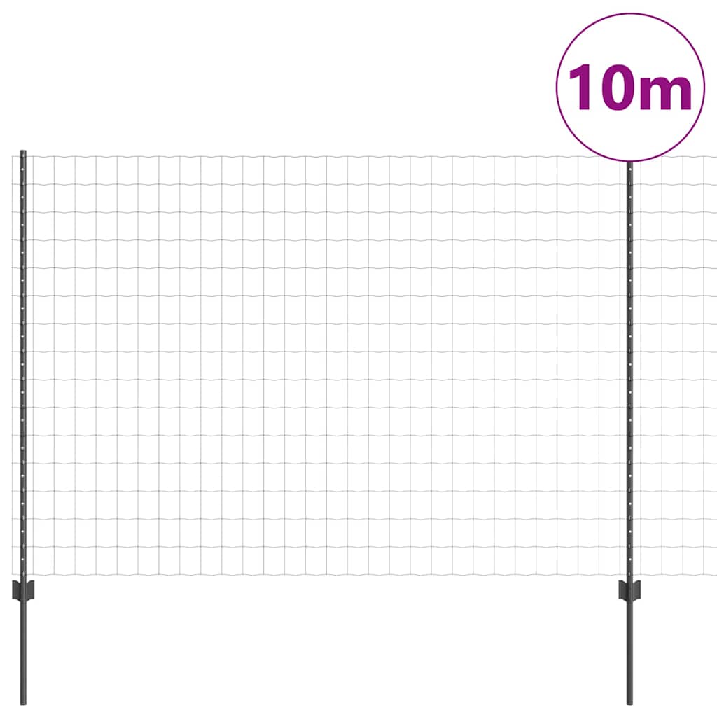 Žoga ar stabiem, pelēka, 1,5 x 10 m, tērauds