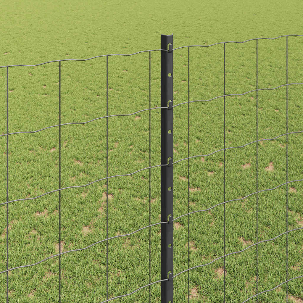 Žogs ar stabiem Pelēks 1.6 x 10 m Tērauds