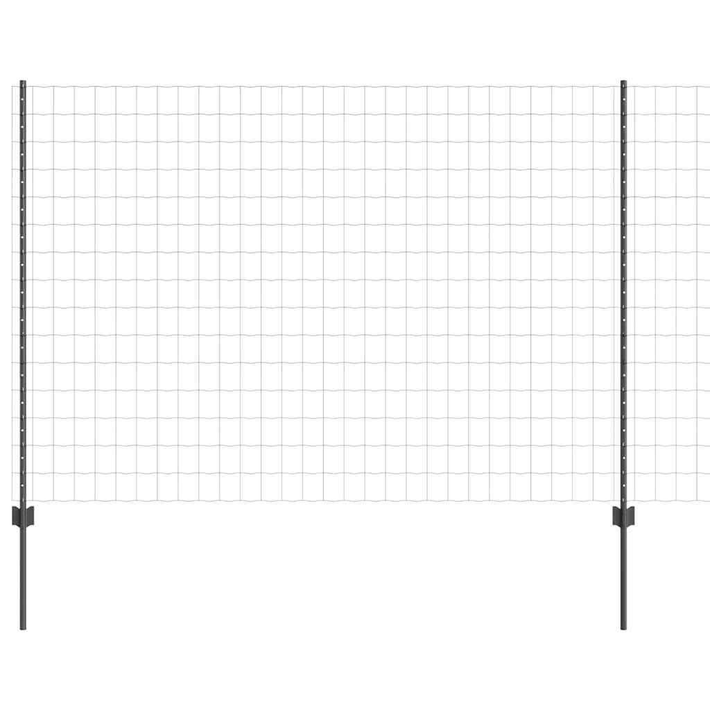 Žogs ar stabiem Pelēks 1.6 x 10 m Tērauds