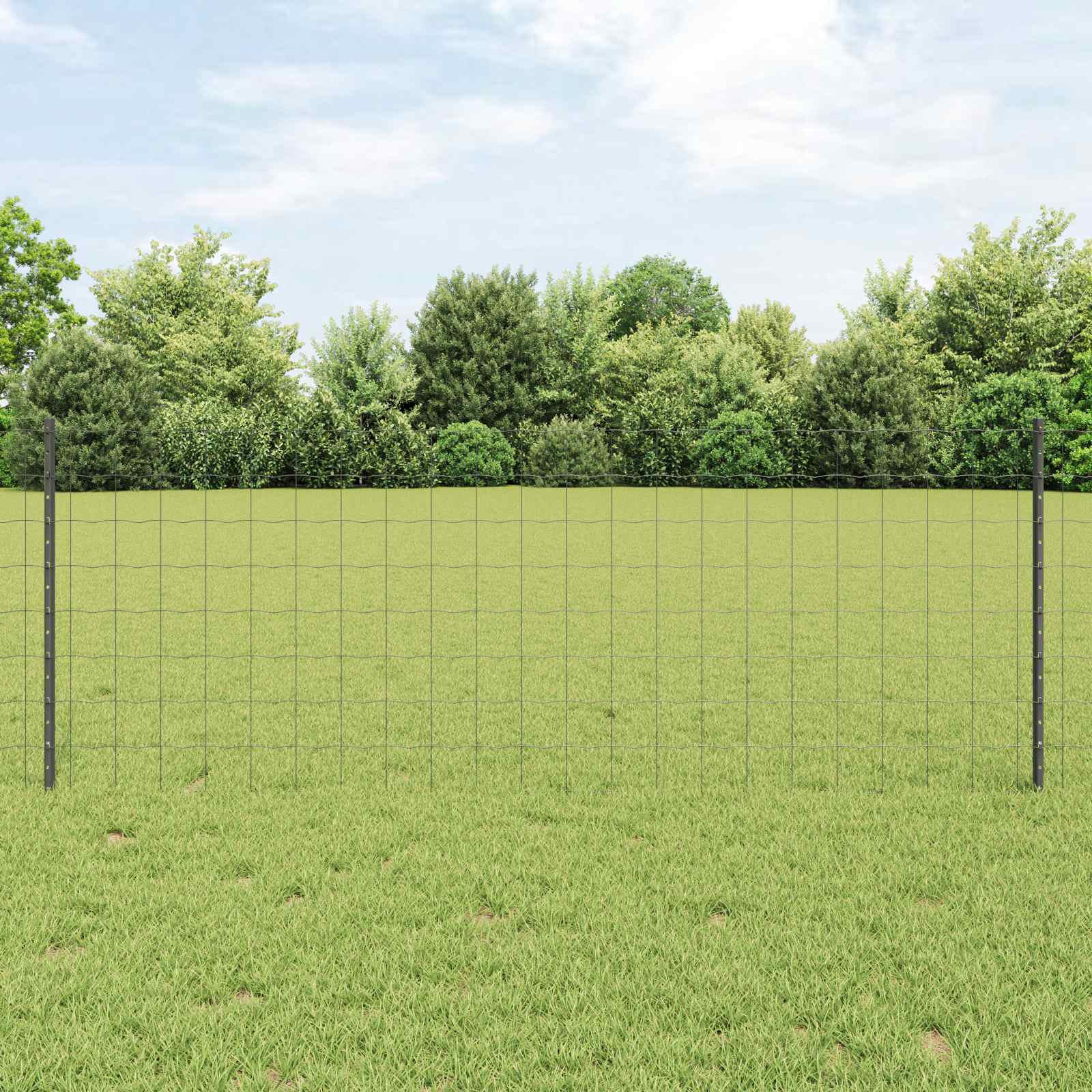 Žogs ar stabiem Pelēks 0,8 x 10 m Tērauds