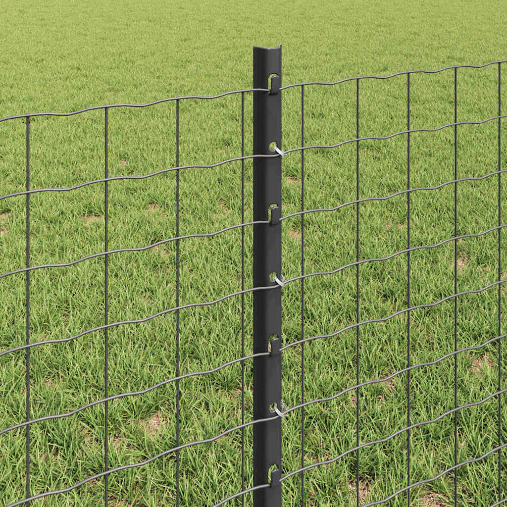 Suvirinto vielos tvoros 25 x 0,6 m (W x H) PVC dengtas plienas