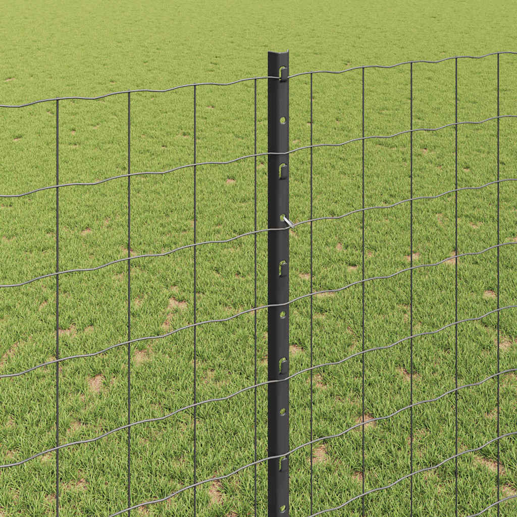 Žogs ar stabiem Pelēks 1,4 x 10 m Tērauds