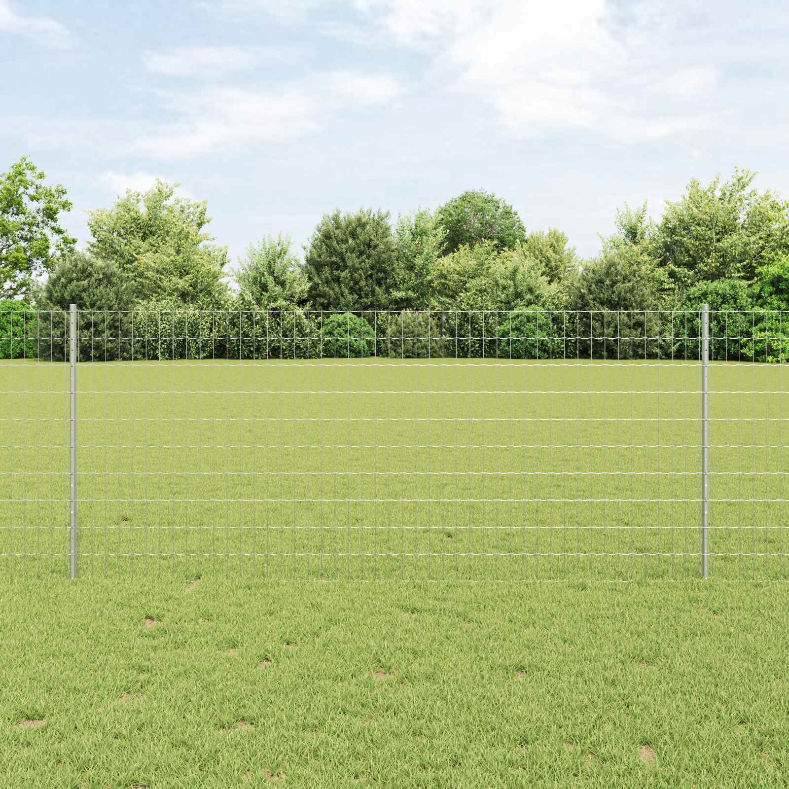 Žoga ar stabiem Sudraba 1 x 10 m Tērauds