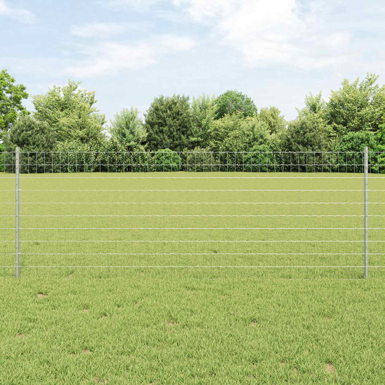 Žogs ar stabiem Sudrabs 0.8 x 25 m Tērauds