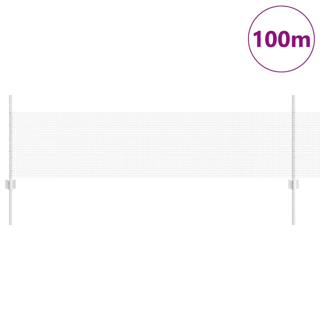 Suvirintas vielos tvora su stulpeliais 100 x 0,5 m Sidabrinė