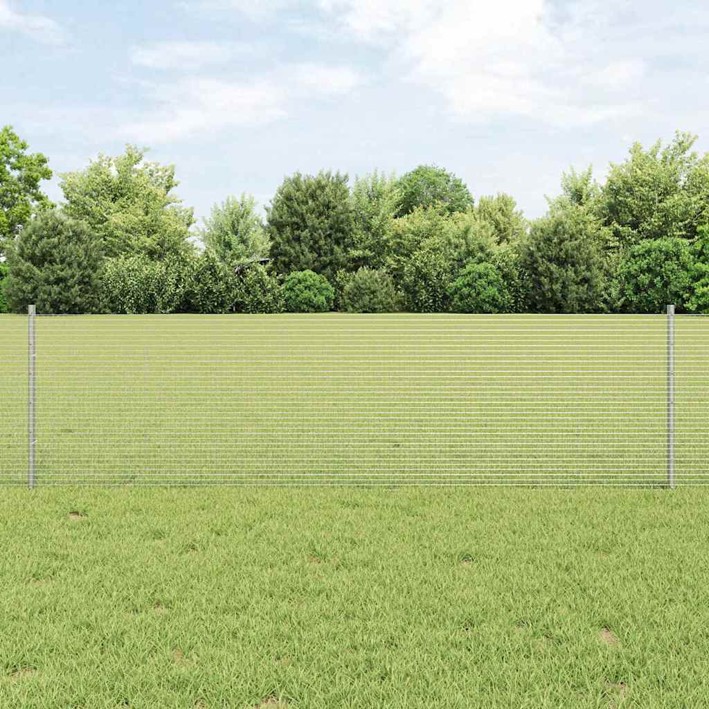 Žogs ar stabiem Sudraba 0,6 x 100 m Tērauds