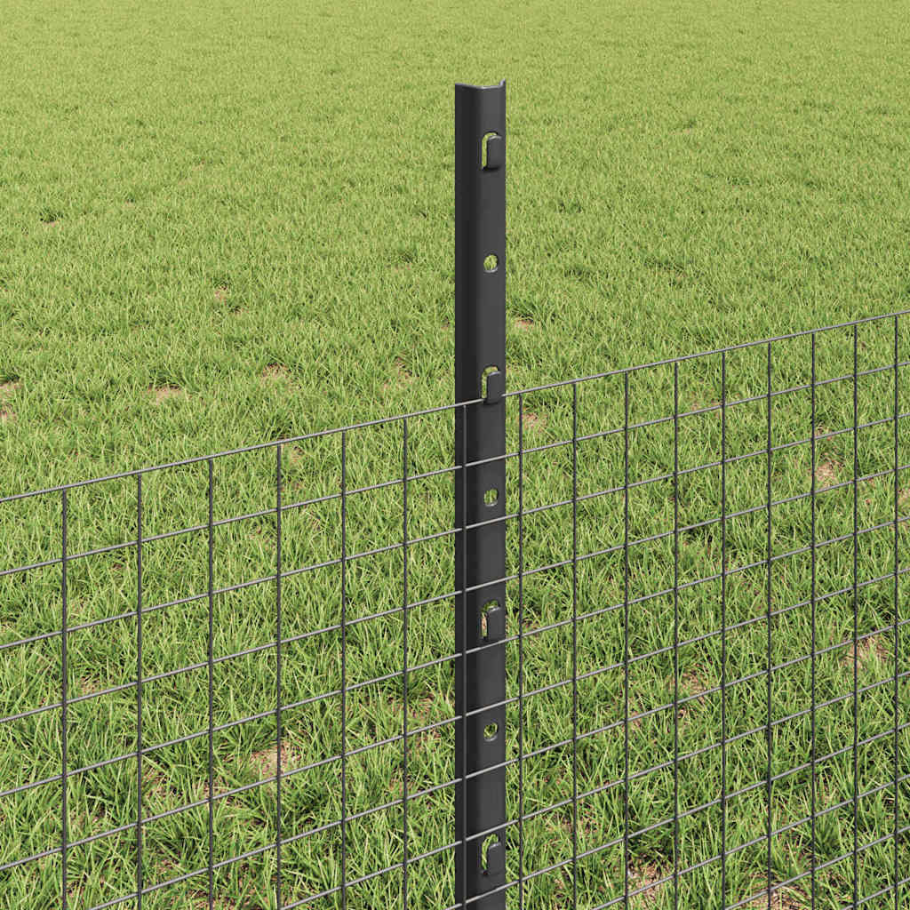 Fence with Posts Grey