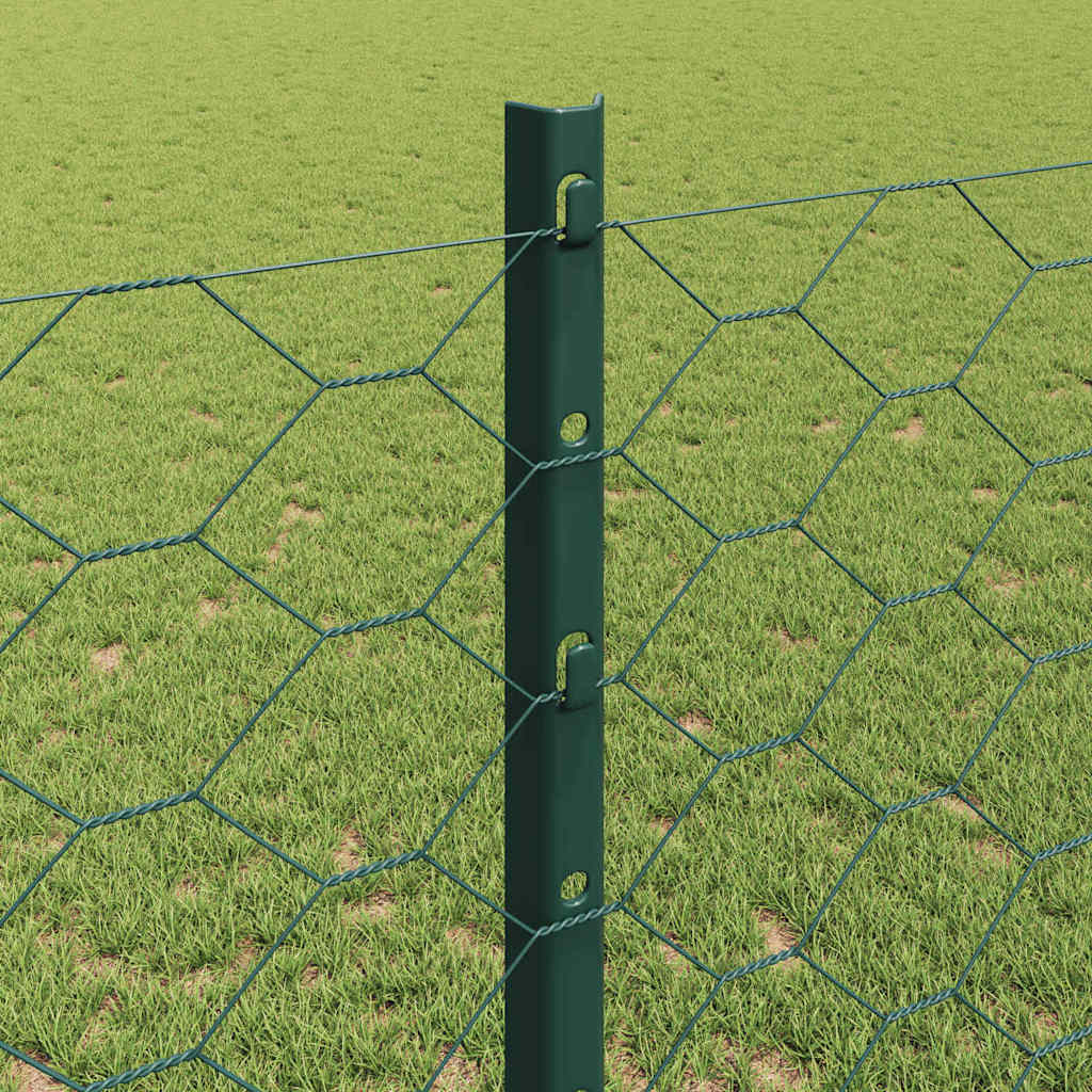 Hexagonal Fence with Post 10 x 1,2 m PVC dengtas plienas Žalia