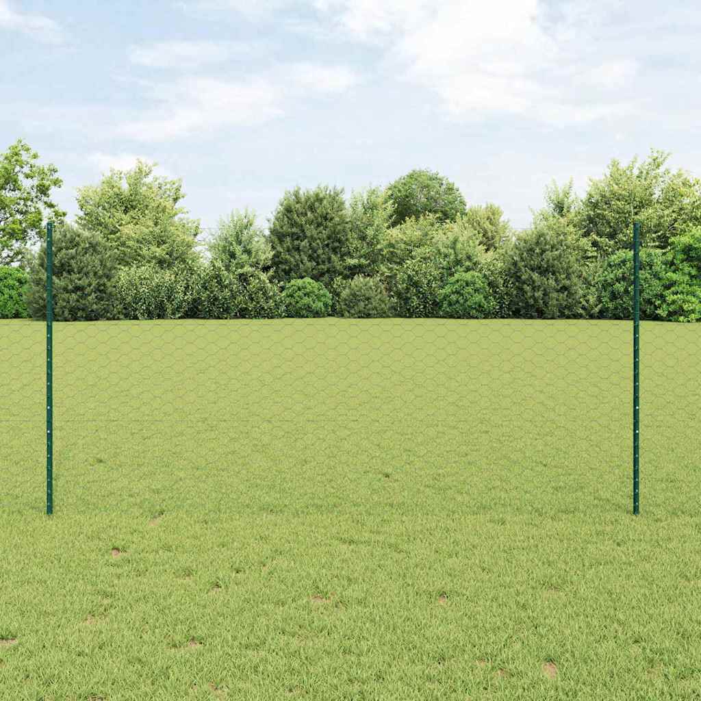 Hexagonal Fence with Post 10 x 1,2 m PVC dengtas plienas Žalia