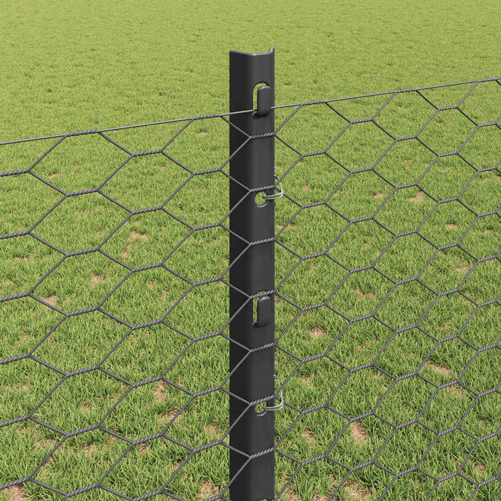 Žogs ar stabiem Pelēks