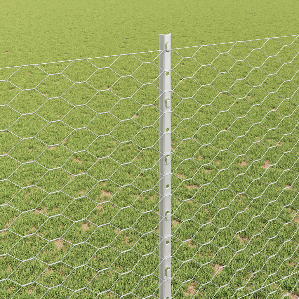 Fence with posts Silver
