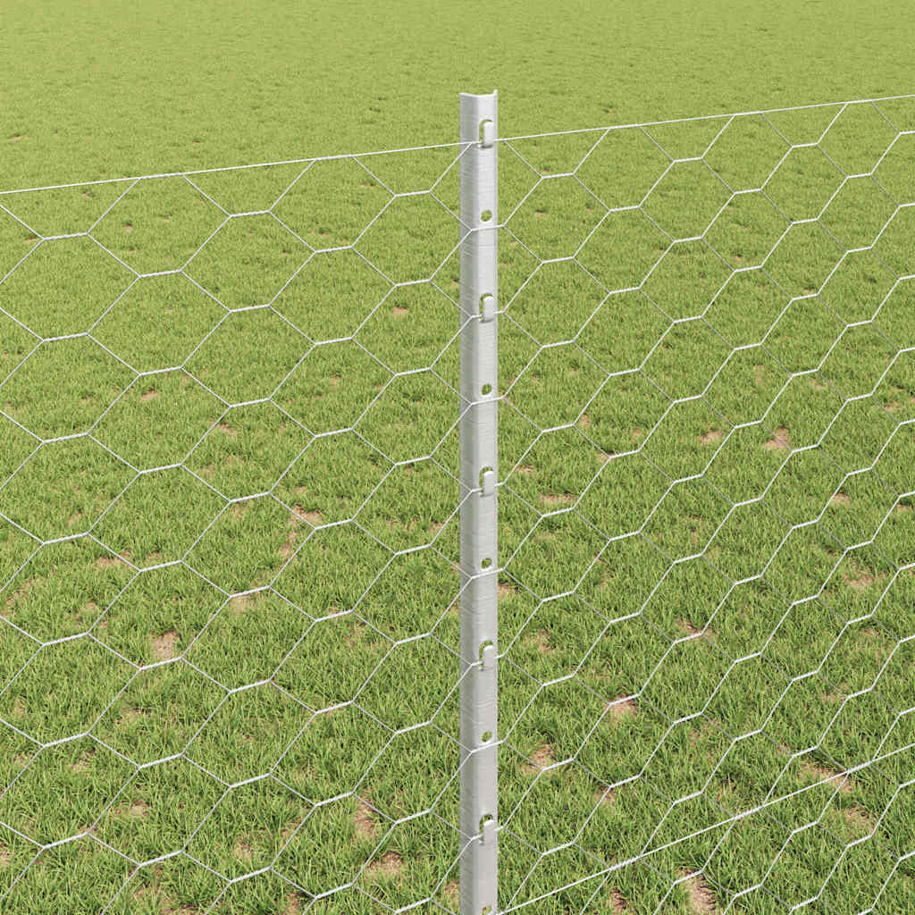 Fence with posts Silver