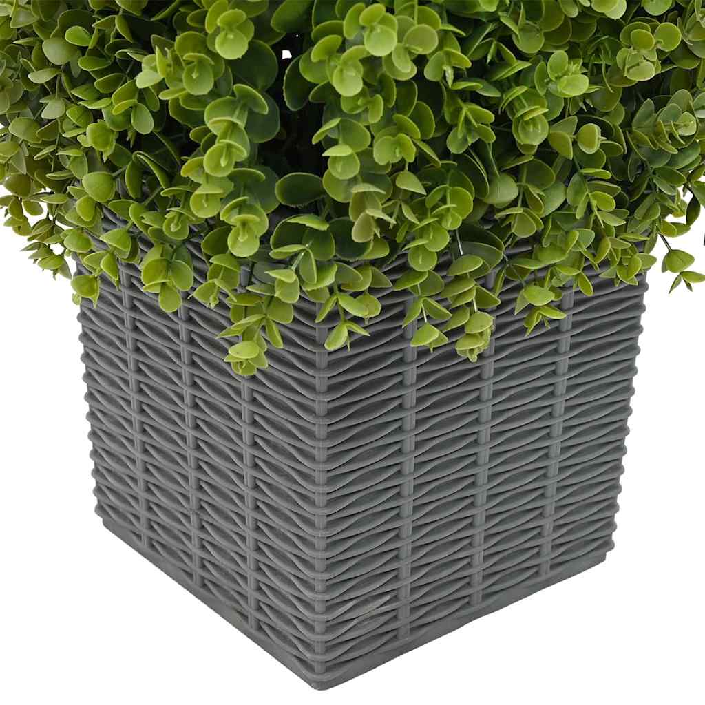 Eukalipto žolių bokštas Žalia 27 x 27 x 90 cm Plastmasė