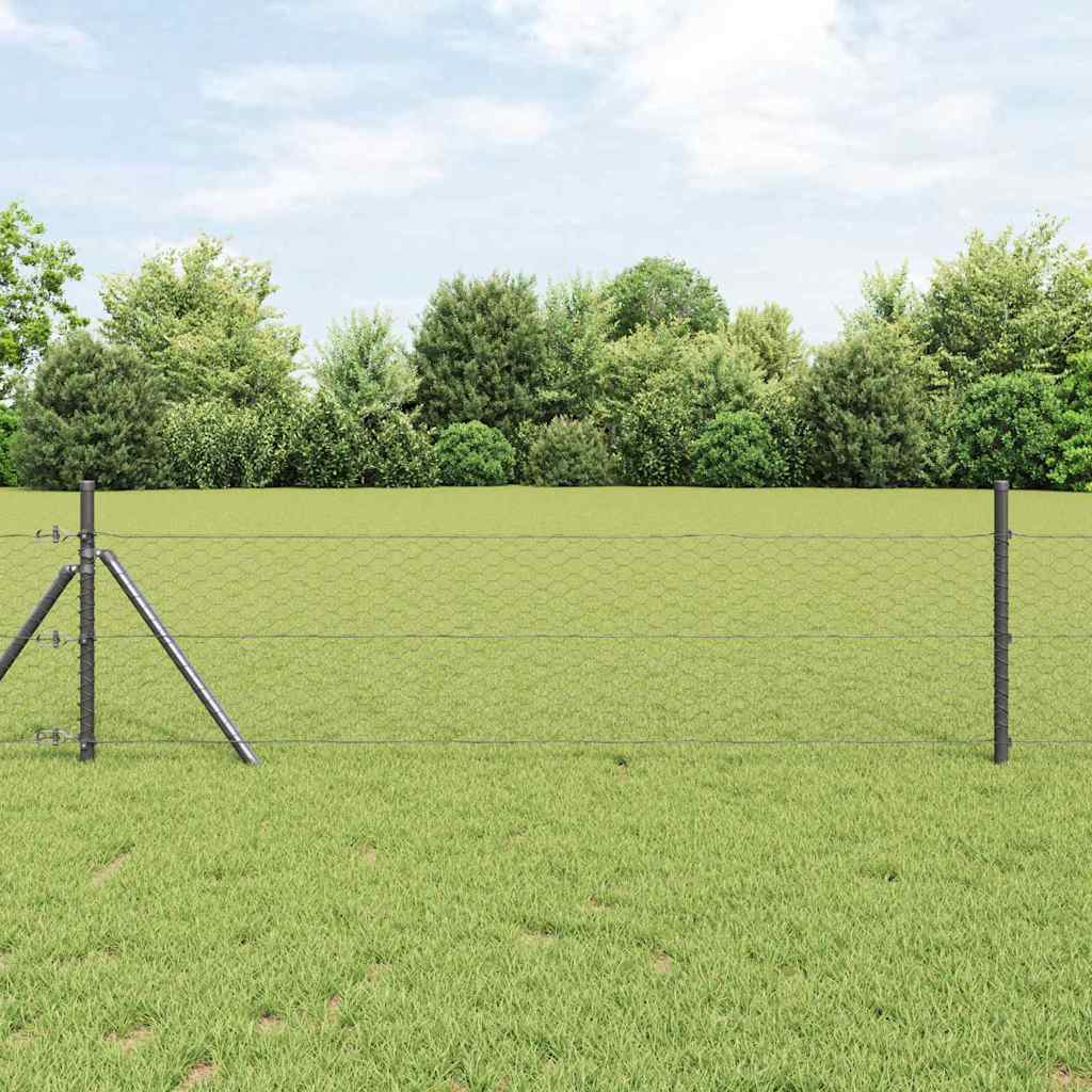 Heksagoninė tvora Pilka 0.8 x 100 m Plienas