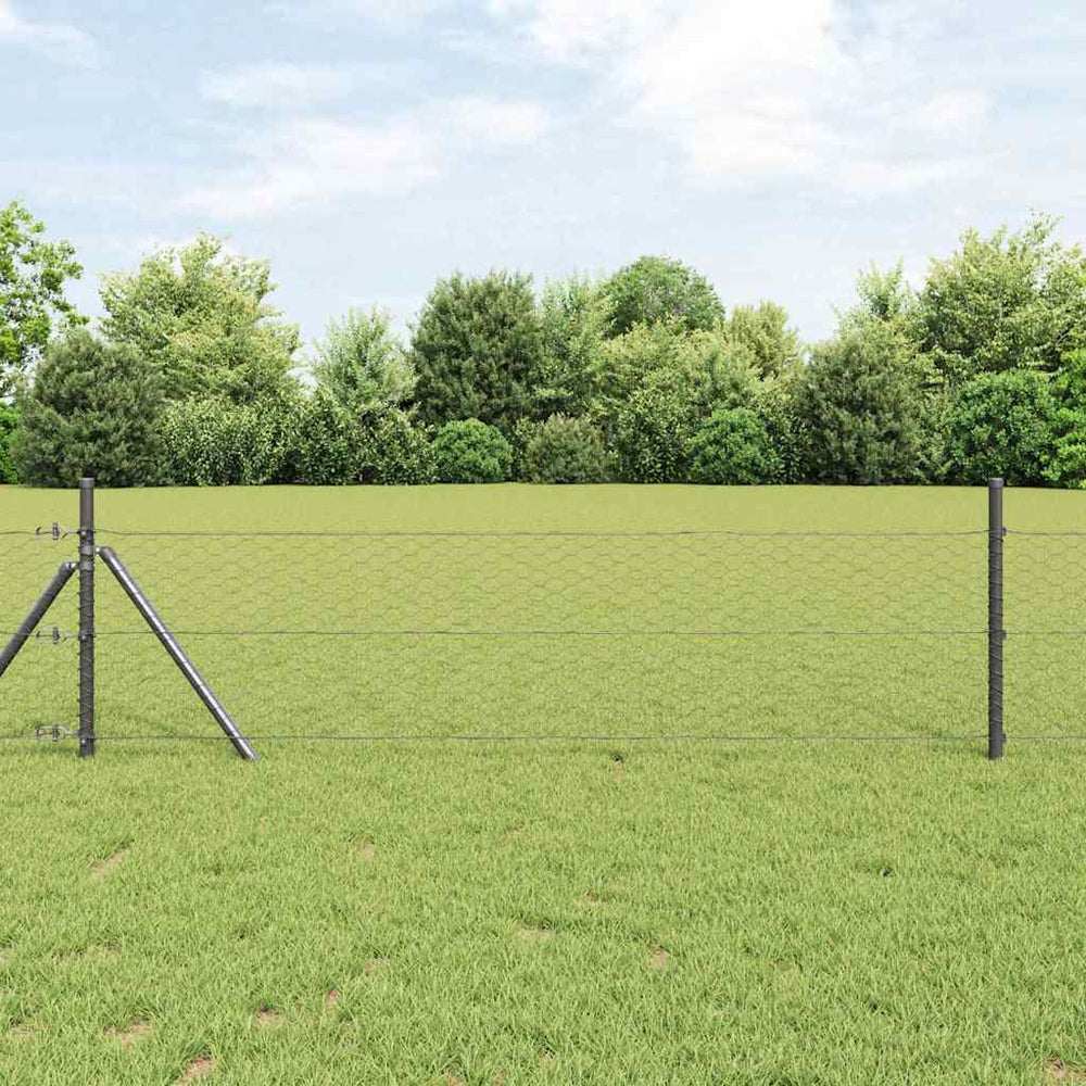 Heksagoninė tvora Pilka 0.8 x 100 m Plienas