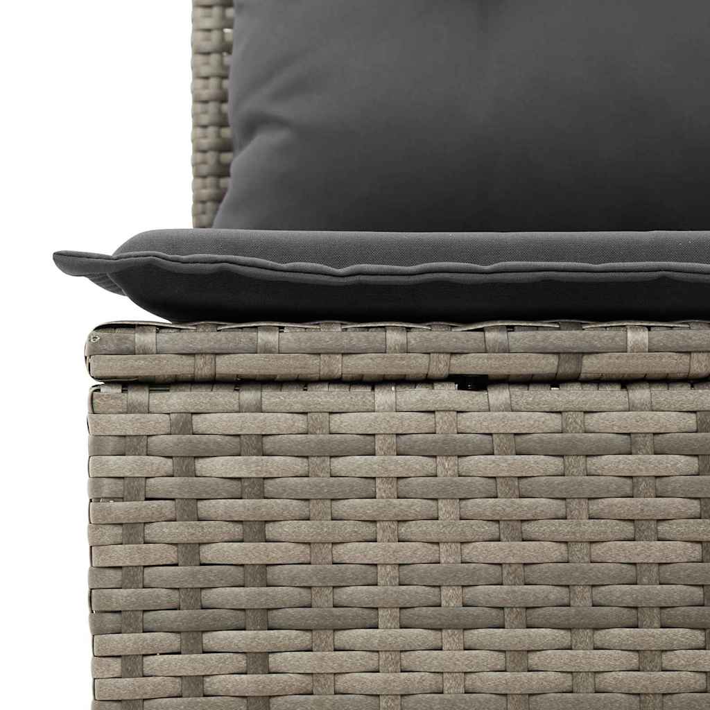 10 dalių sodo sofa rinkinys su pagalvėlėmis pilkas poli ratanas akacija