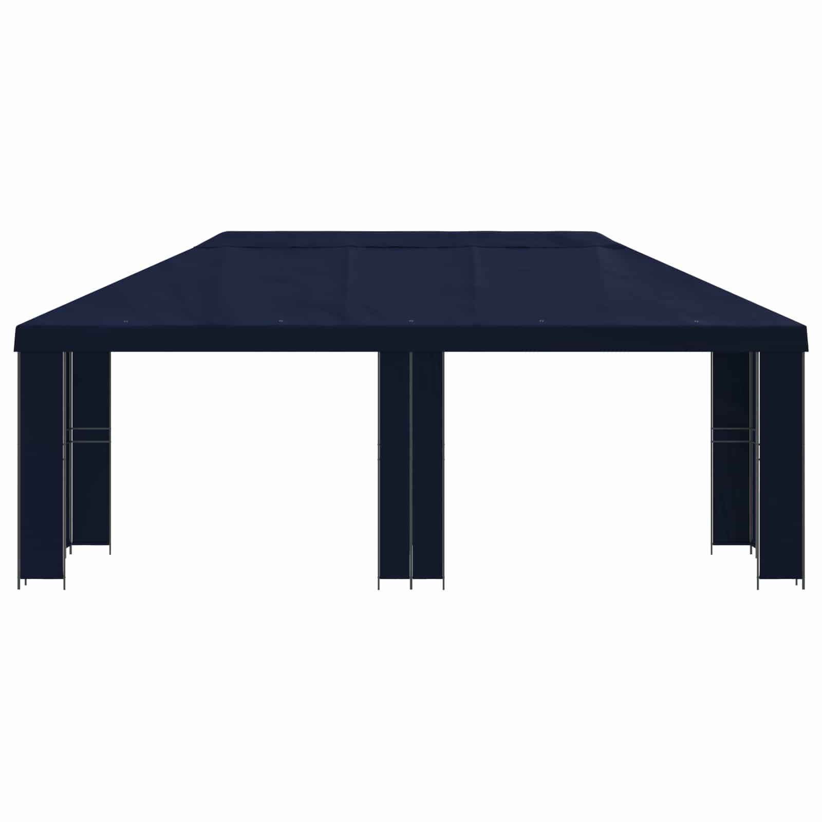 Sodo Paviljonas 6 x 3 m Mėlyna Poliesteris ir plienas 190