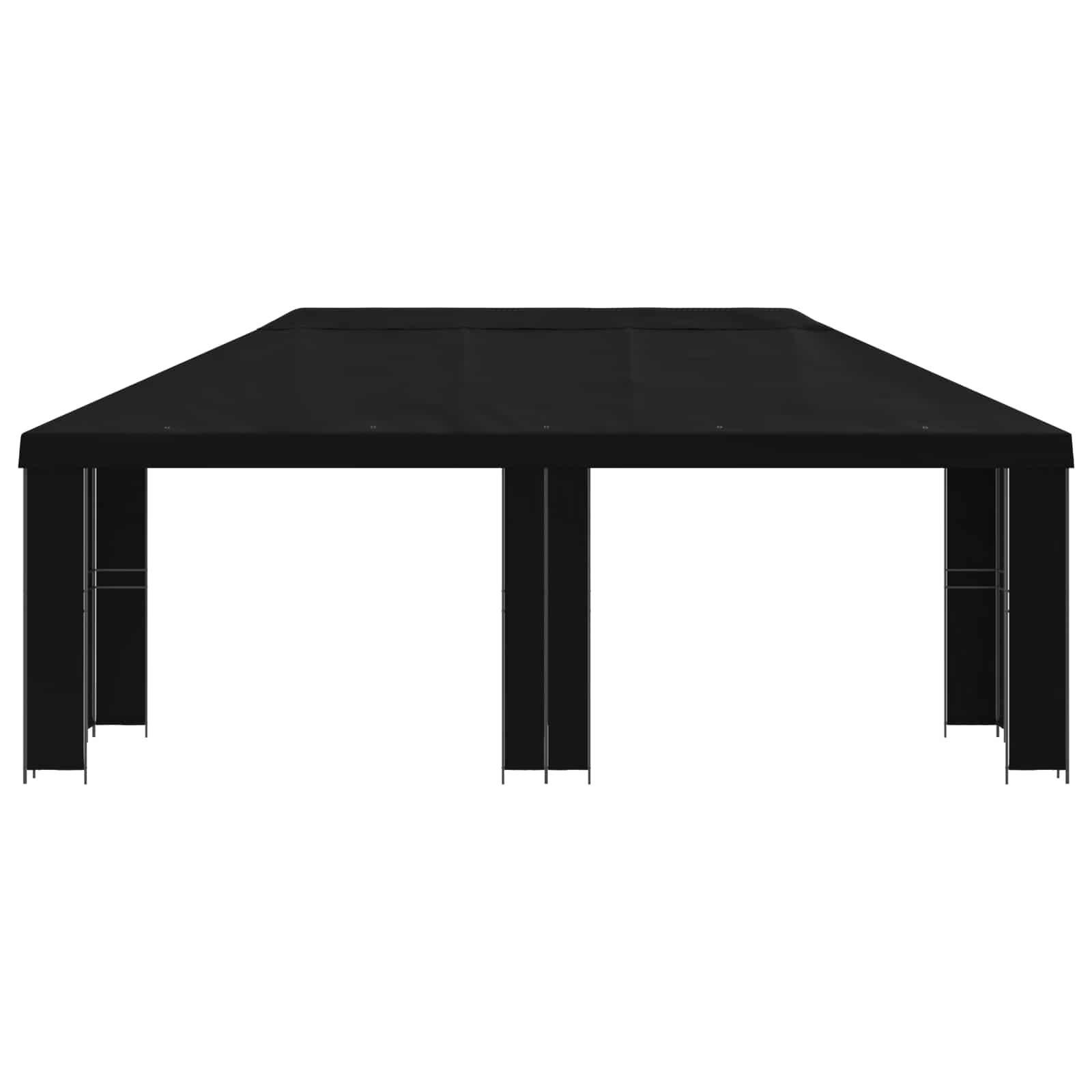 Sodo Paviljonas 6 x 3 m Juoda Poliesteris ir plienas 190