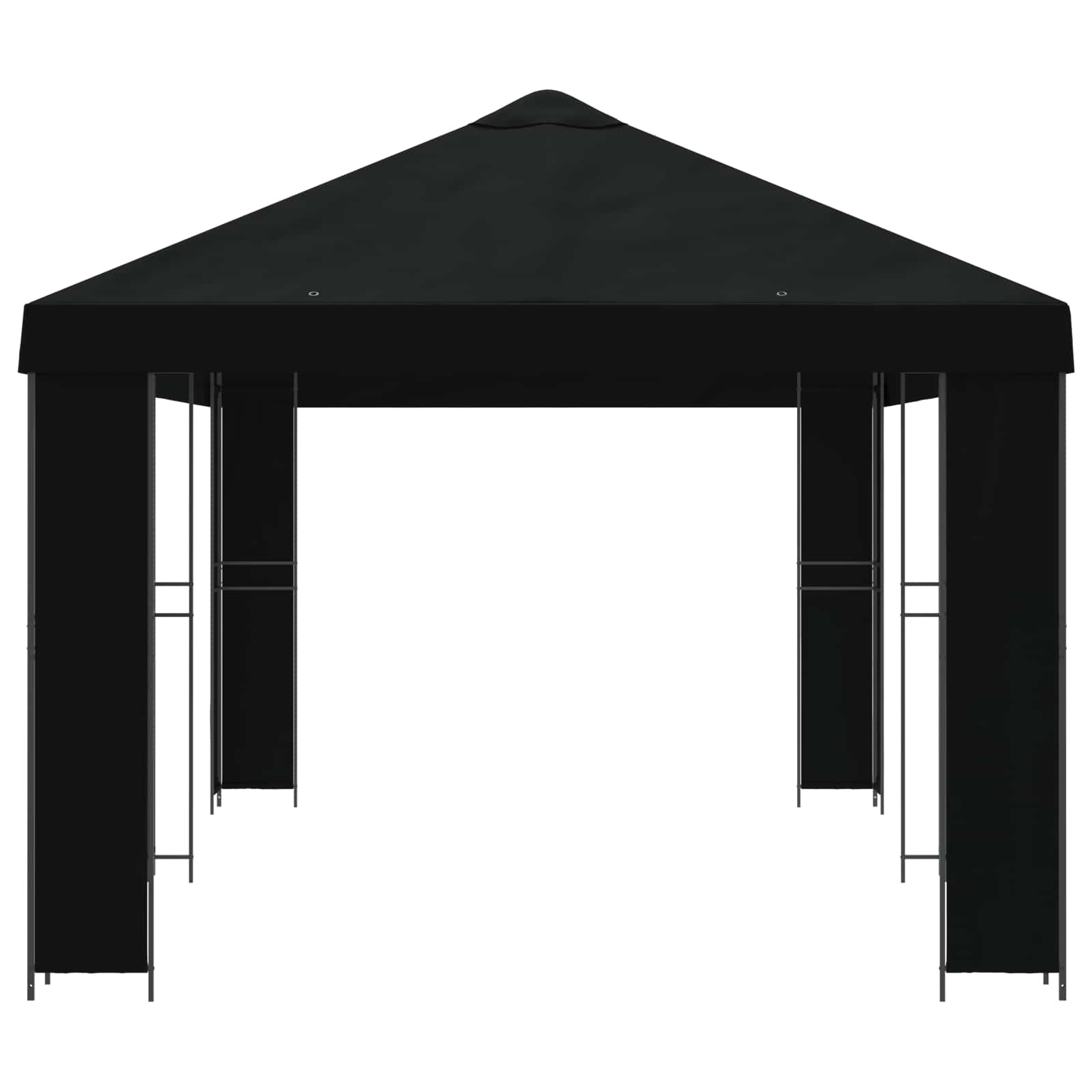 Sodo Paviljonas 6 x 3 m Juoda Poliesteris ir plienas 190