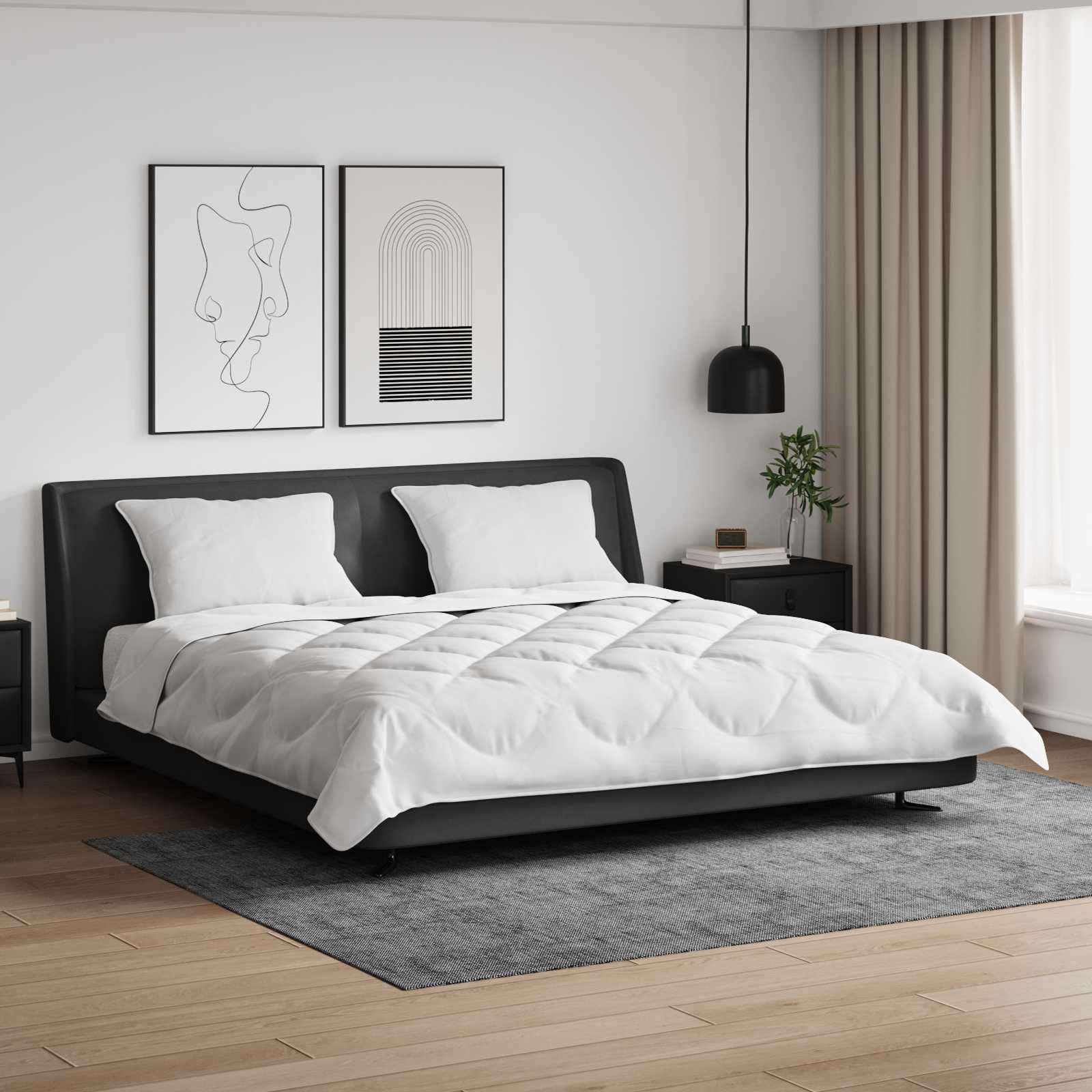 Duvet set 3 pcs White Microfiber and down feathers