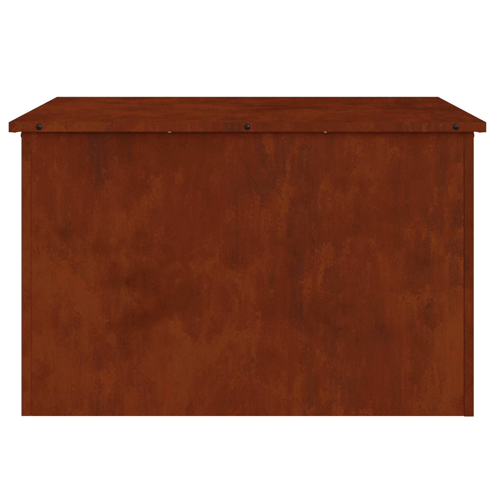 Lauko saugojimo dėžė Rūdijanti 80 x 50,5 x 50 cm Plienas
