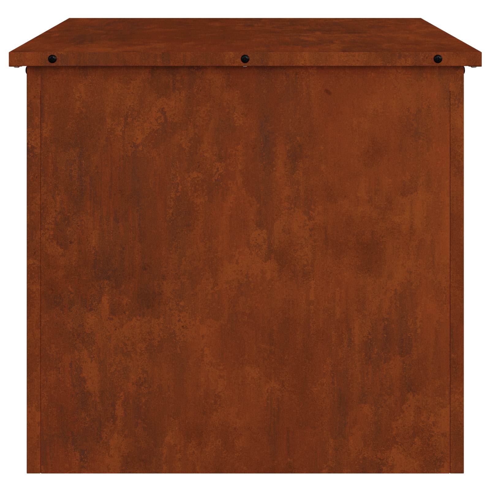 Outdoor Storage Box Rusty 55 x 50.5 x 50 cm Steel