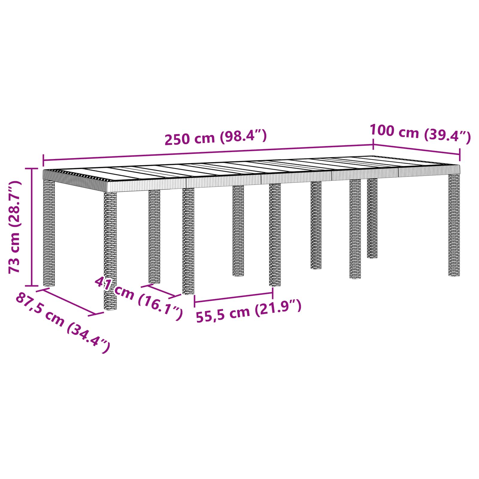 Sodo stalas Antracitas 250 x 100 x 73 cm poliratanas