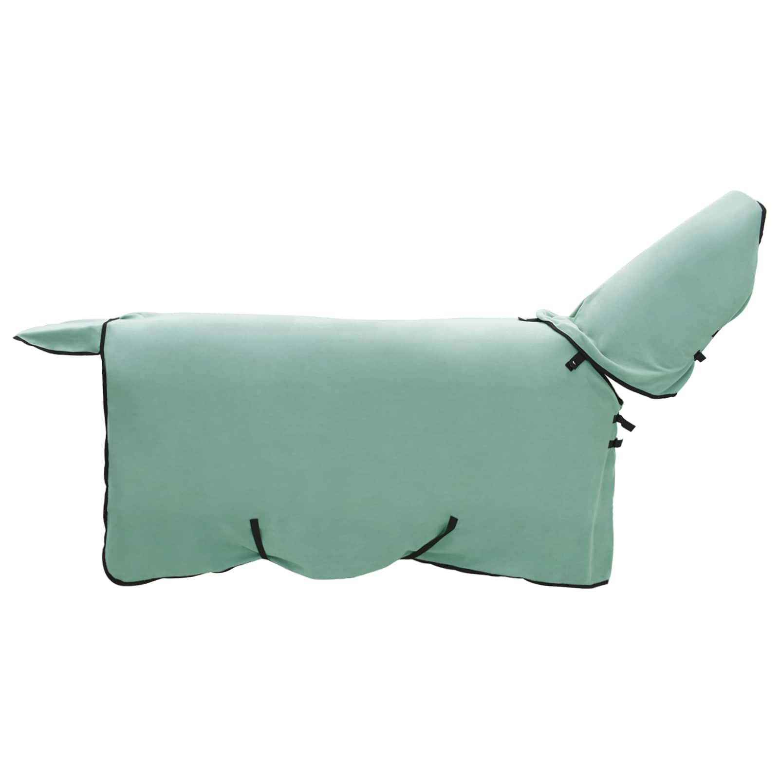 Horse blanket Special green Polyester