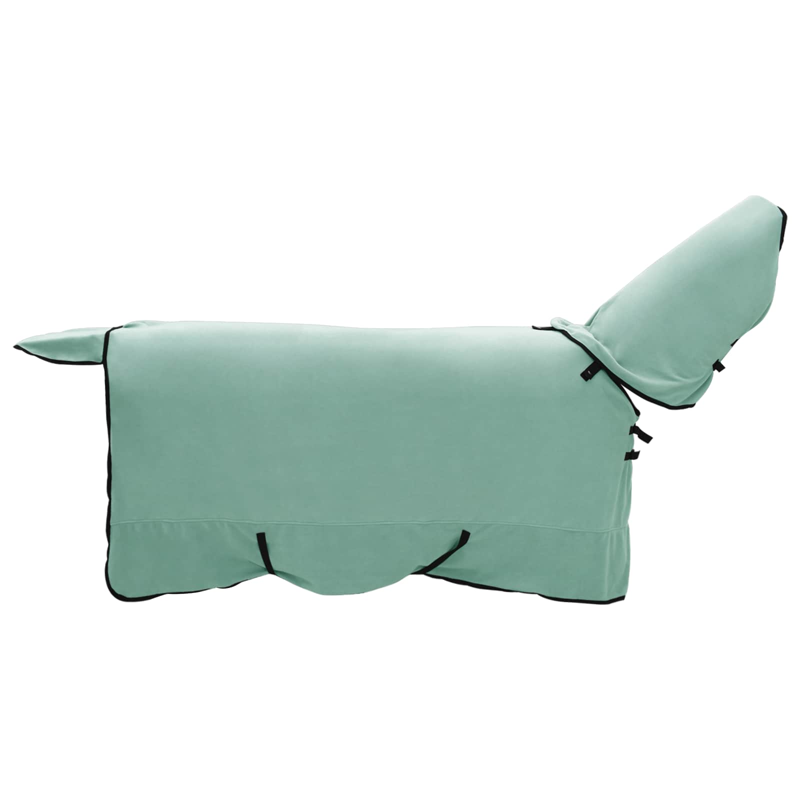 Horse blanket Special green Polyester