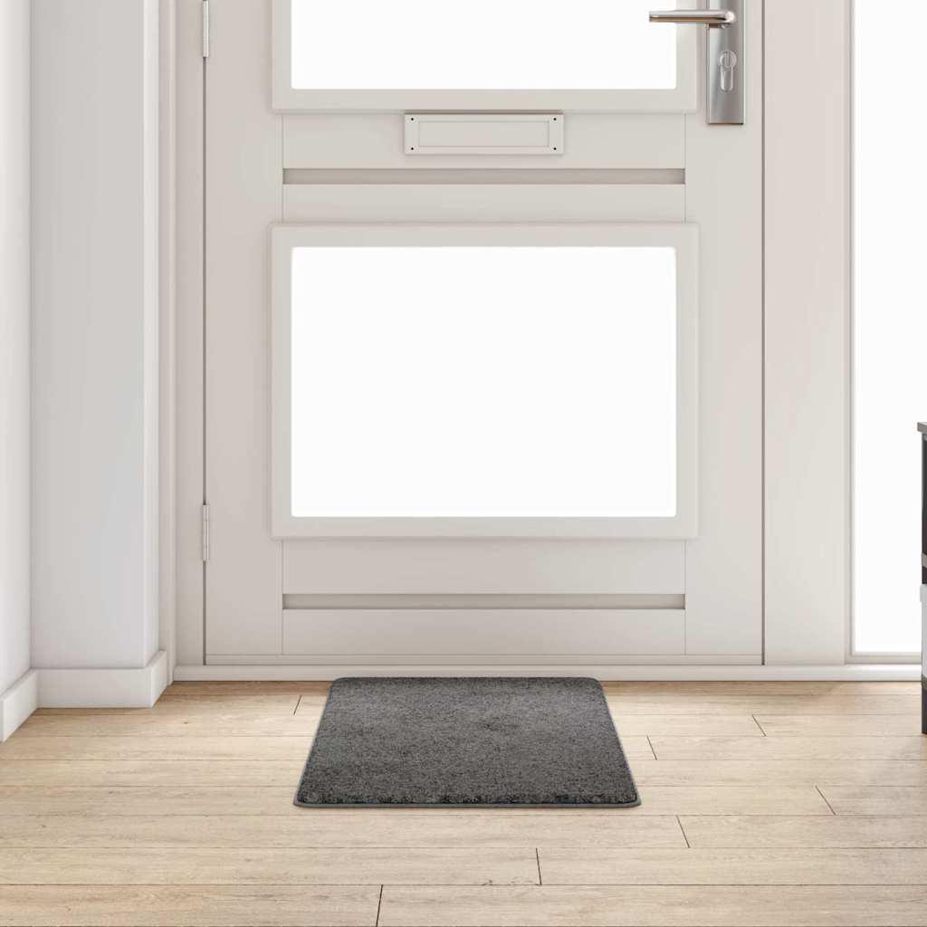 Kilimėlio bėgimo kilimas Pilka 50 x 100 cm
