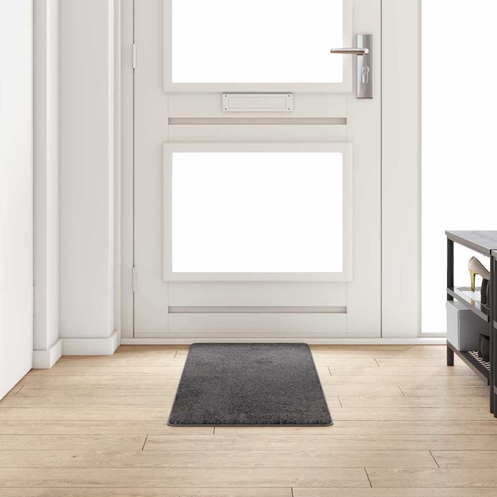 Paklāja skrējējpaklājs Pelēks 50 x 150 cm