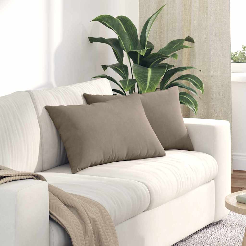 Sofa Pagalvės 2 vnt. audinys Tortora 60 x 40 cm