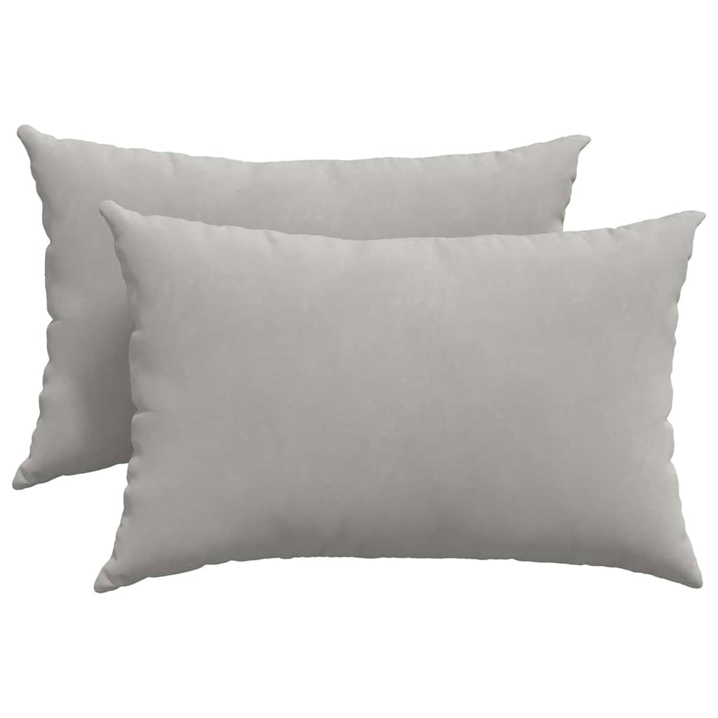 Sofa Pagalvės 2 pcs Šviesiai pilka 60 x 40 cm audinys