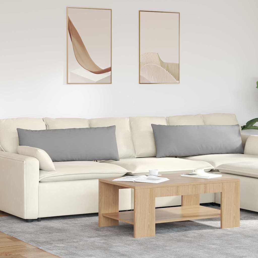Dīvāna Spilveni 2 gab. Pelēks 120 x 40 cm audums