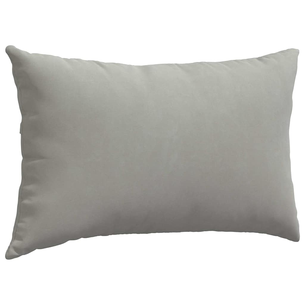 Sofa Pagalvės 2 pcs Šviesiai pilka 50 x 30 cm audinys