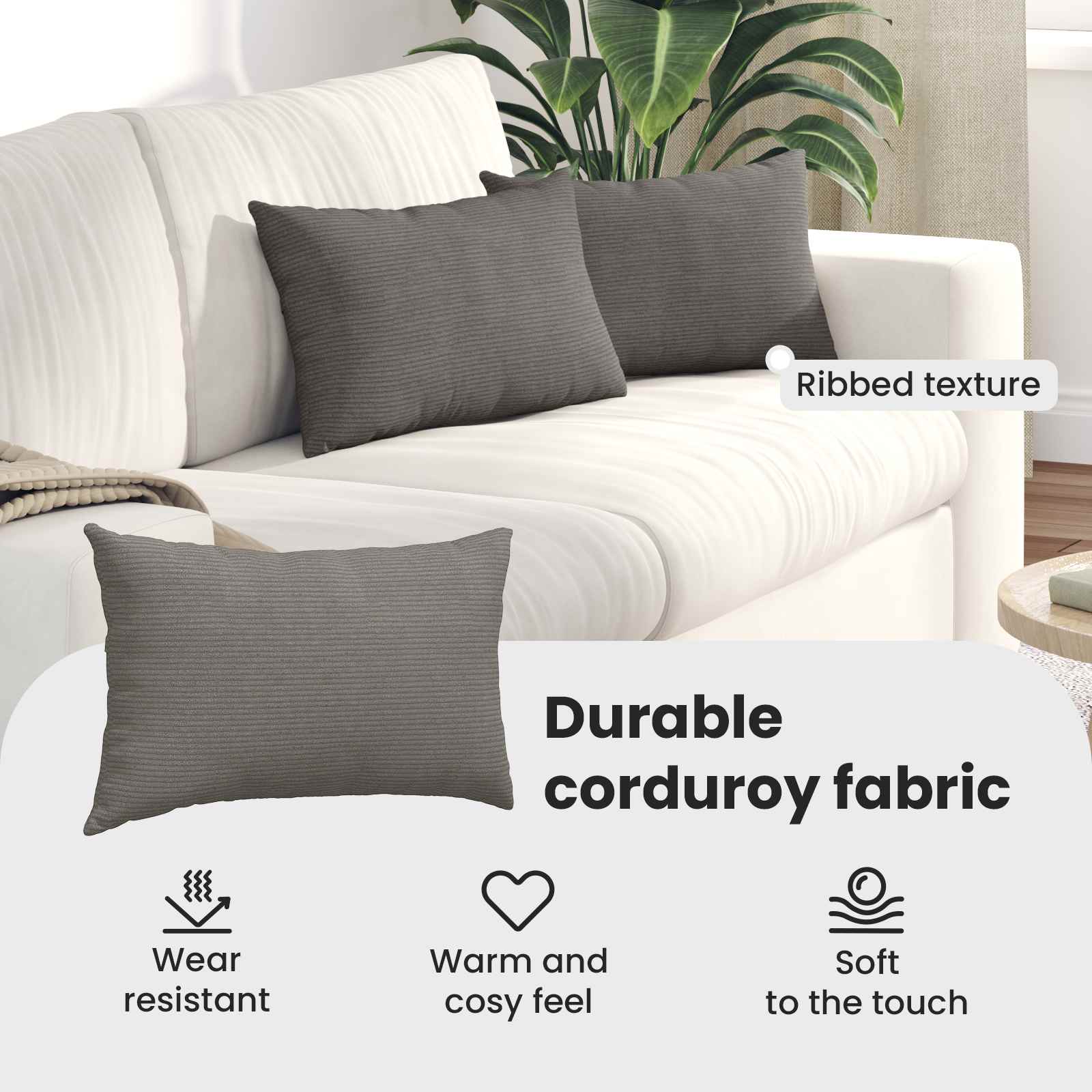 Sofa Pagalvės 2 pcs Šviesiai pilka 50 x 30 cm