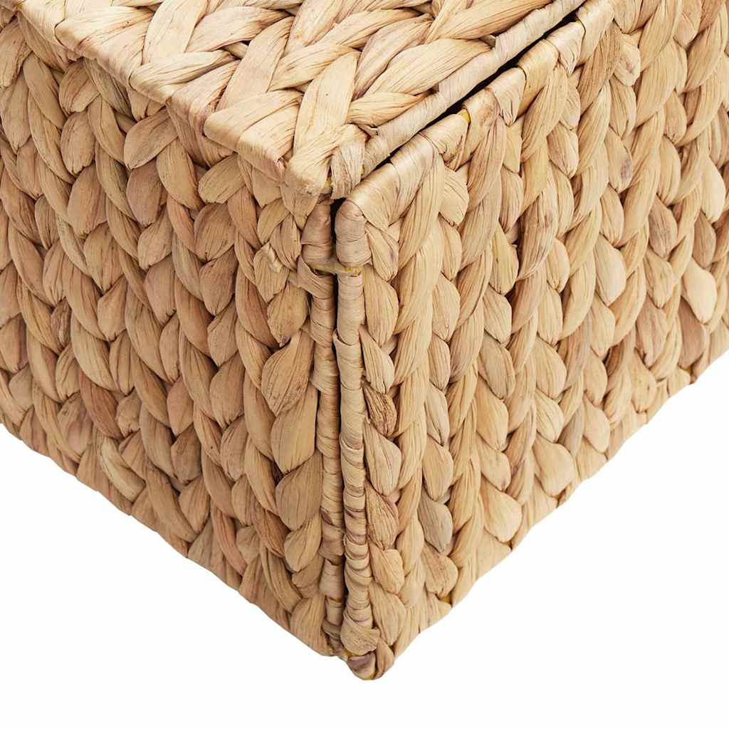 Saugojimo dėžė Natūrali 60 x 38 x 20 cm Vandens hiacintas