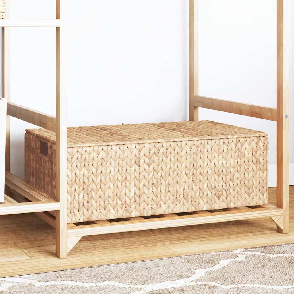 Saugojimo dėžė Natūrali 60 x 38 x 20 cm Vandens hiacintas