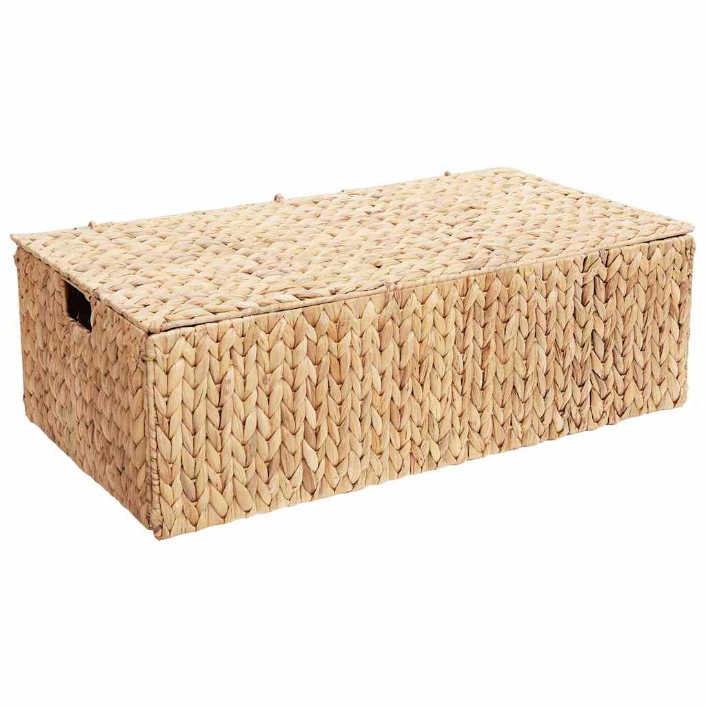 Saugojimo dėžė Natūrali 60 x 38 x 20 cm Vandens hiacintas